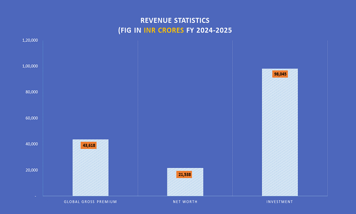 Revenue Statistics INR
