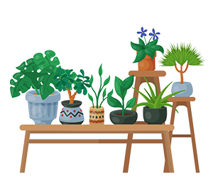 Floticulture